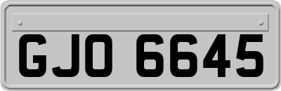 GJO6645