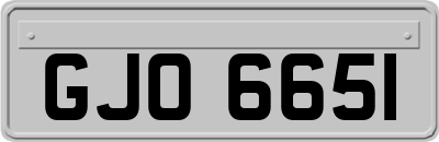 GJO6651