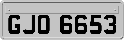 GJO6653