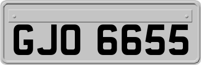 GJO6655