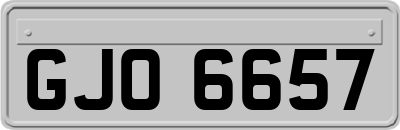 GJO6657