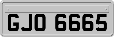 GJO6665