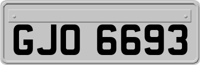 GJO6693