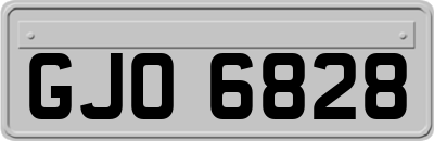 GJO6828