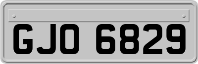 GJO6829