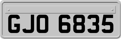 GJO6835
