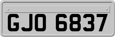 GJO6837