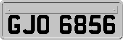 GJO6856