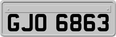GJO6863