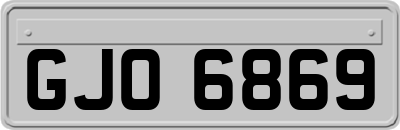 GJO6869