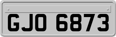 GJO6873