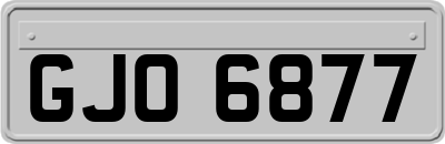 GJO6877
