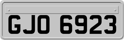 GJO6923