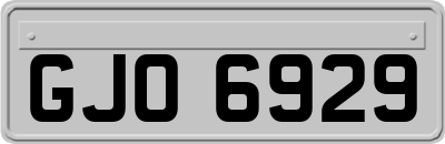 GJO6929