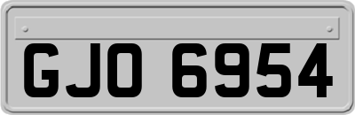GJO6954