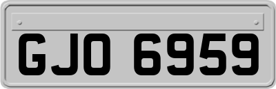 GJO6959