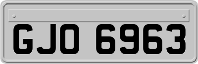 GJO6963