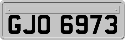 GJO6973