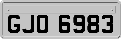 GJO6983