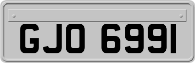 GJO6991