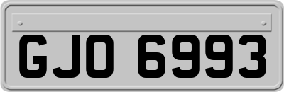 GJO6993