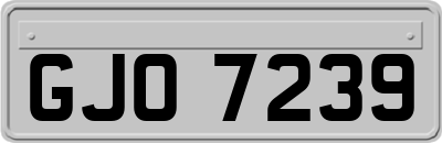 GJO7239