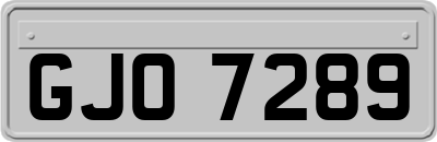 GJO7289