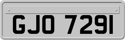 GJO7291