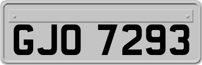 GJO7293