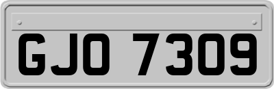 GJO7309