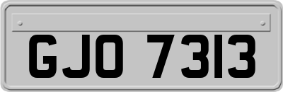 GJO7313