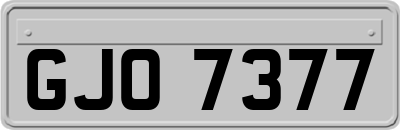 GJO7377
