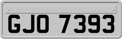 GJO7393