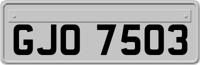 GJO7503