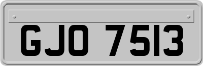GJO7513