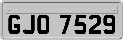 GJO7529