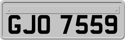 GJO7559