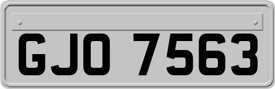 GJO7563