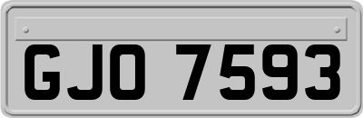 GJO7593