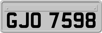 GJO7598