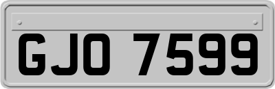 GJO7599