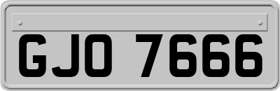 GJO7666