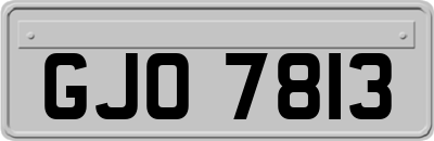 GJO7813