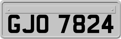 GJO7824