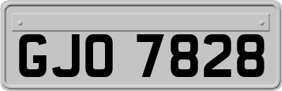 GJO7828