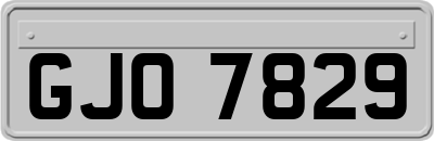 GJO7829