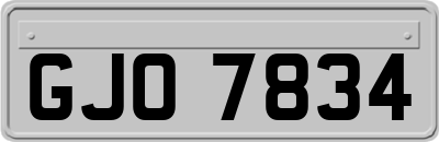 GJO7834