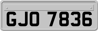GJO7836