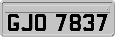 GJO7837