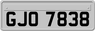 GJO7838